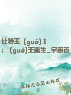 比特王國(guó)Ⅰ: 國(guó)王重生